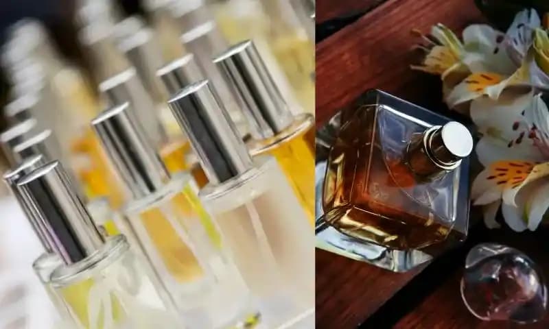 İnsanları Duraklatan ve Övgü Alan Parfümler: Kalıcılık ve Uyumun Önemi