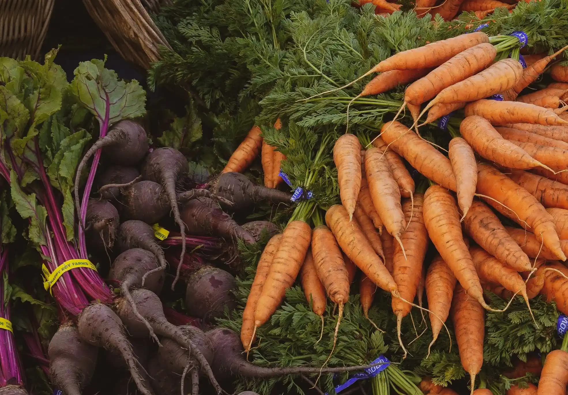 Kök Sebze Kokusu Veren Parfümler: Doğal Toprak ve Bitki Notalarının Keşfi