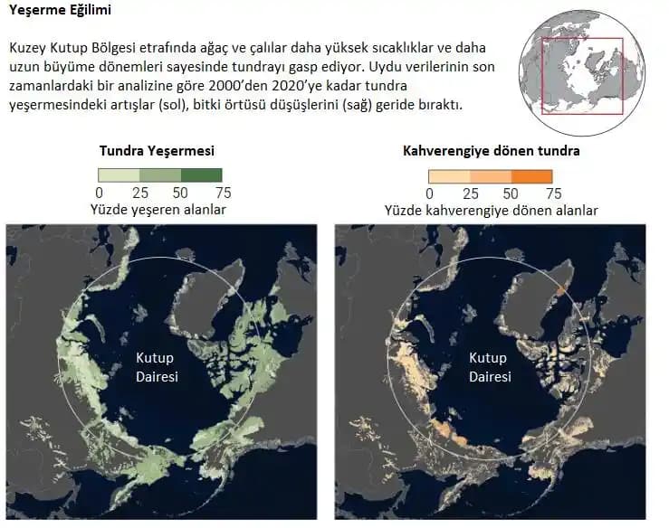 Saami Yerli Göz Şekilleri ve Makyaj Tekniklerinde Etnik Farklılıklar ve Adaptasyonlar