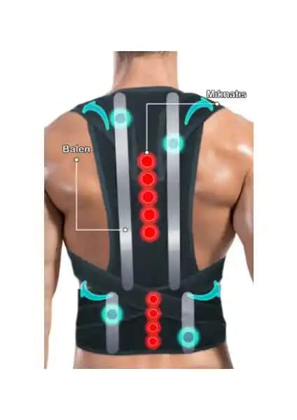 Ankaflex Balenli Manyetik Bel Korsesi Duruş ve Bel Ağrılarını Hafifletir