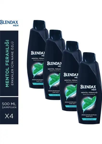 Blendax Erkekler İçin Mentollü Şampuan: Ferahlatıcı ve Hacim Kazandırıcı Saç Bakım Ürünü