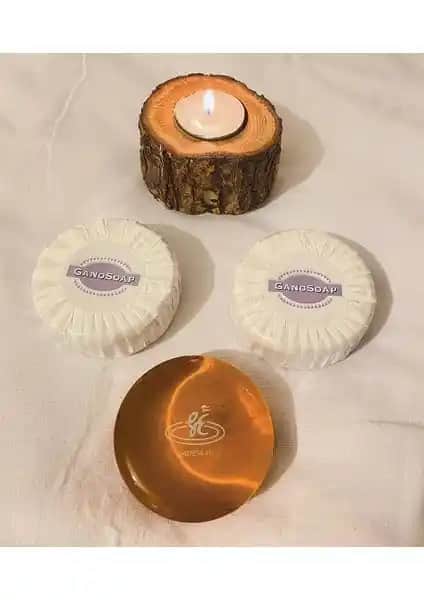 Gano Excel Organik Sabun Serisi: Doğal ve Etkili Cilt ve Saç Bakım Ürünleri