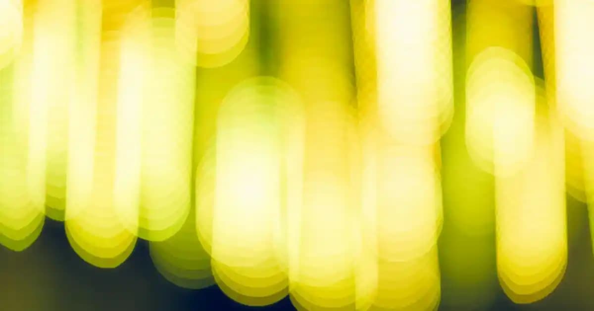 Bioderma'nın Cilt Sağlığına Katkıları ve Ürün Çeşitleri Hakkında Bilgi