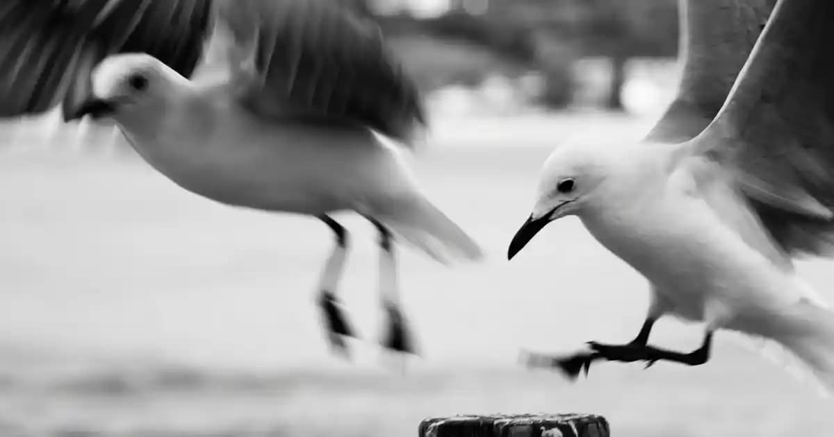 Caudalie Vücut Peelingleri: Doğal İçeriklerle Cilt Yenileme ve Güzellik Çözümleri