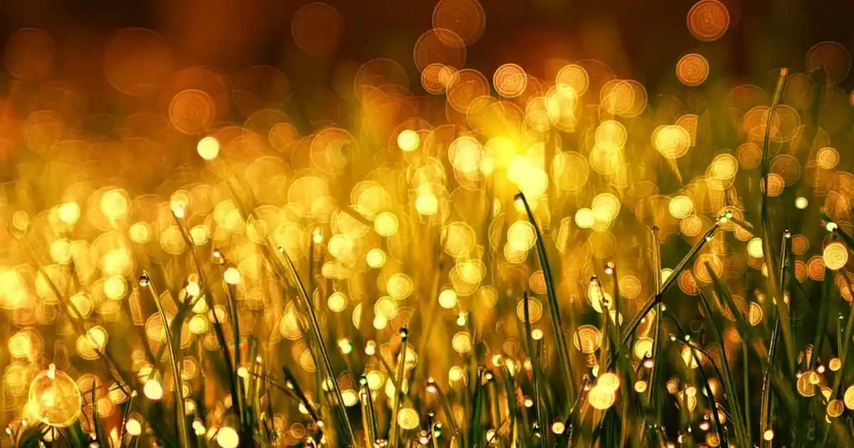 Diş Eti Jeli: Ağız Sağlığını Koruyan Etkili ve Güvenilir Çözüm