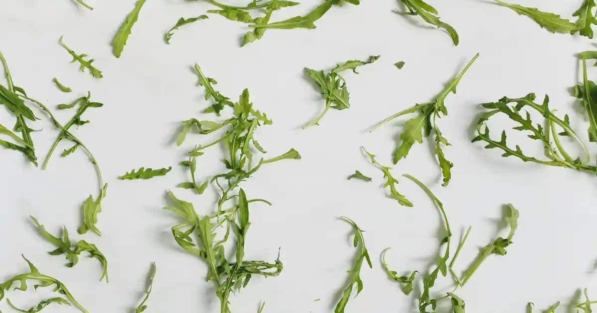 En İyi Krill Yağı Markaları ve Doğru Seçim İçin Bilmeniz Gerekenler