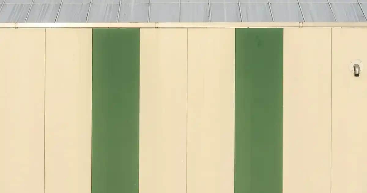 Erkekler İçin En İyi Vitaminler ve Kozmetik Bakım Ürünleri Rehberi