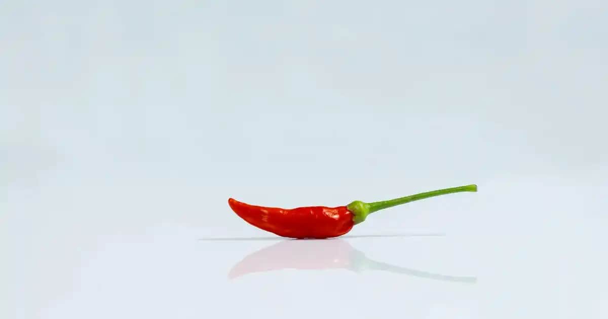 Expera Şurup: Solunum Yollarını Rahatlatan Doğal ve Bitkisel İçerikli Destekleyici Ürün