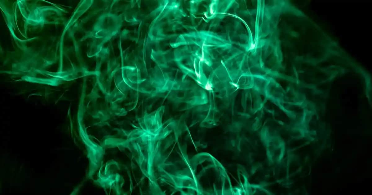 Facelle Pedler: Günlük ve Gece Hijyeninde Konfor ve Güvenlik Sağlayan Çeşitler