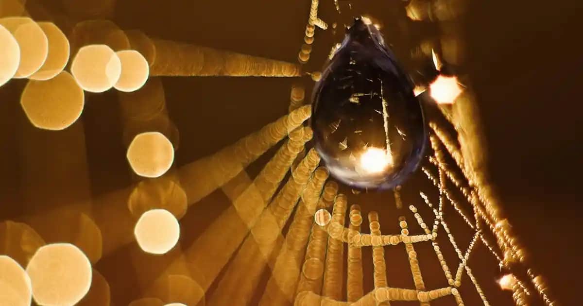 Flormar Stick Makyaj Ürünleri: Pratik ve Çok Yönlü Makyaj Çözümleri