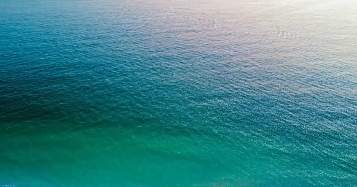 Kepeğe Karşı En Etkili Şampuanlar ve Doğru Kullanım Yöntemleri