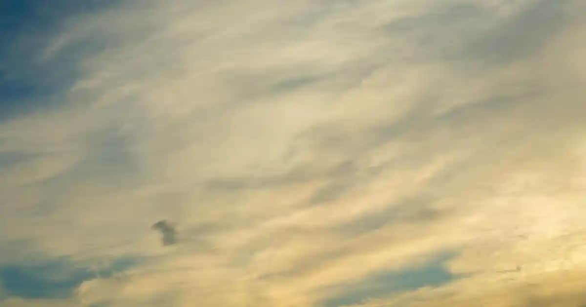 Kepek Giderici Şampuanlar ve Saç Sağlığını Koruma Yöntemleri