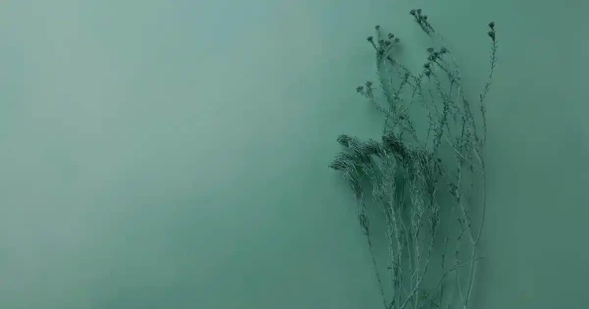 Kozmetik ve Sağlık İçin Kalsiyum Haplarının Rolü ve Faydaları