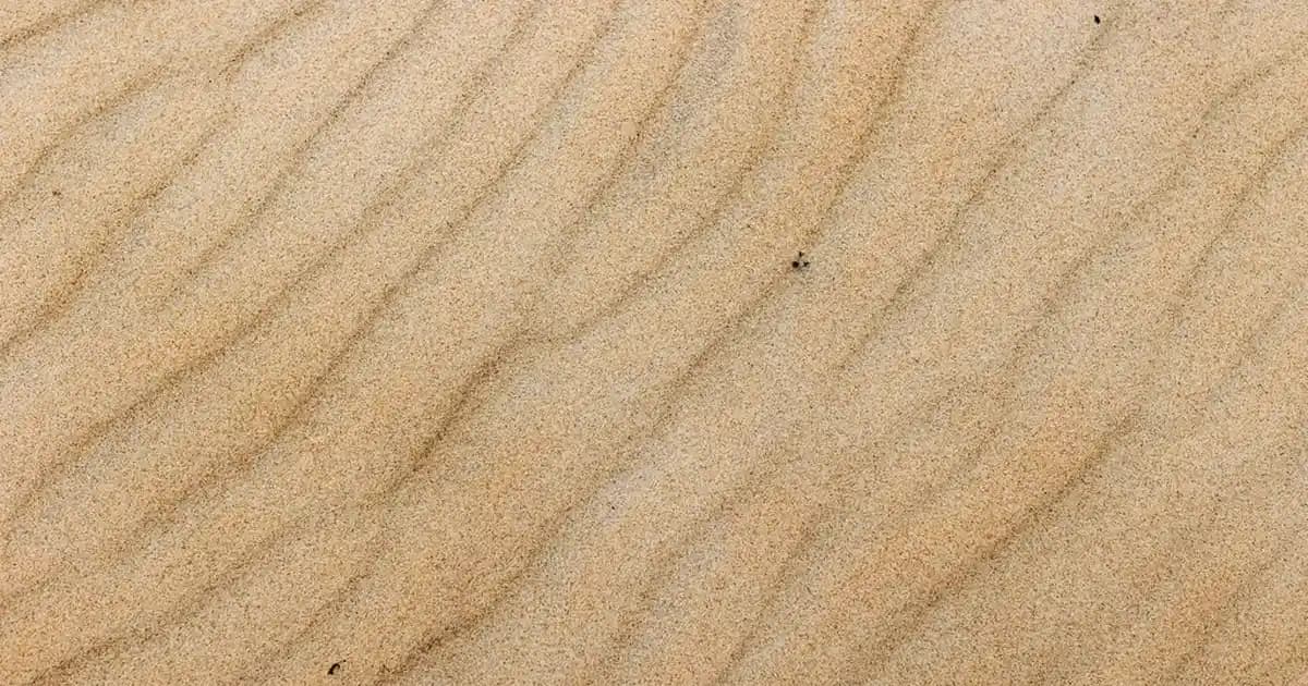 Nuxe Kozmetik: Doğal İçeriklerle Lüks ve Etkili Cilt Bakım Çözümleri