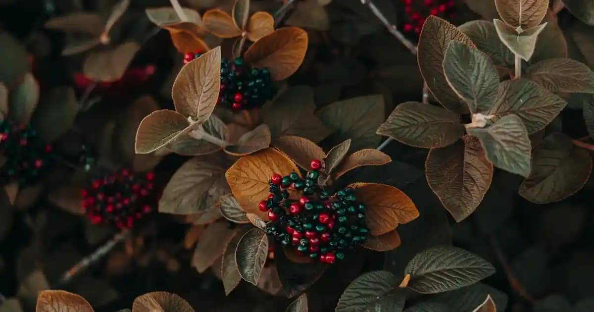 Show Your Magic Gloss ile Dudaklarınızda Renk Değiştiren Sihirli Parlaklık Deneyimi