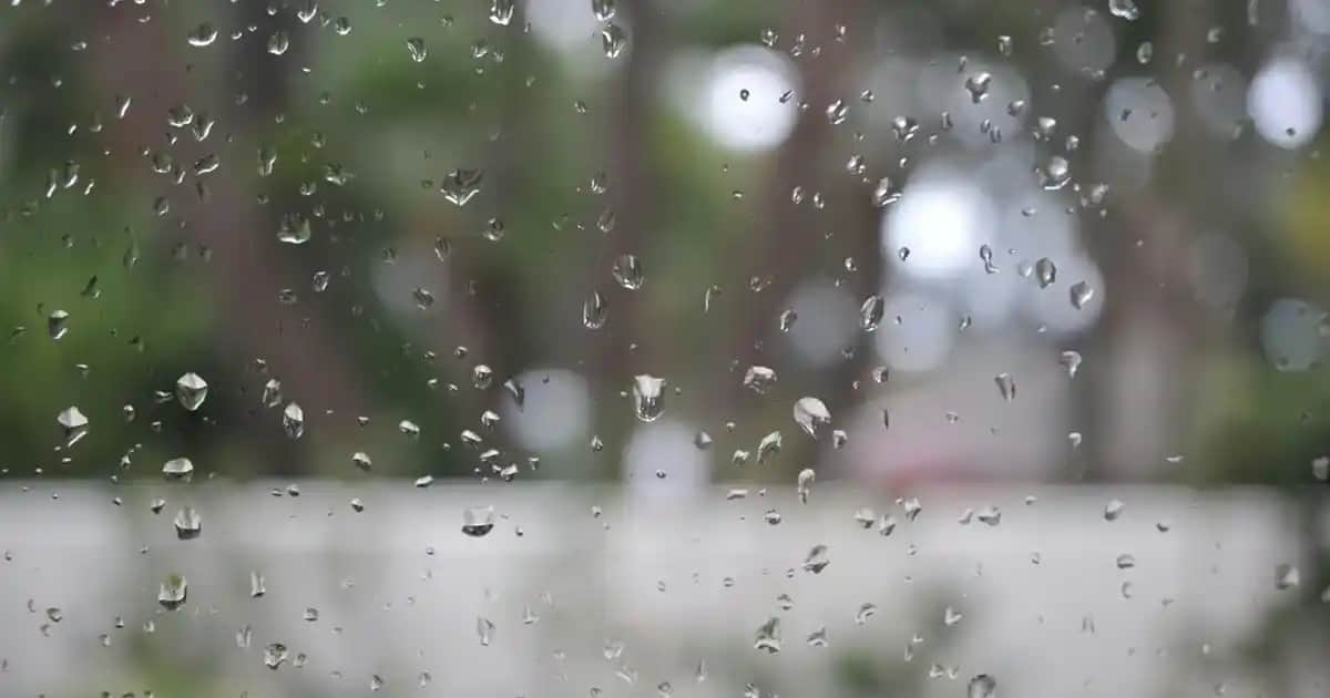 Sıvı Saç Bakım Kremi Nedir ve Doğru Kullanım Yöntemleri Hakkında Kapsamlı Bilgi