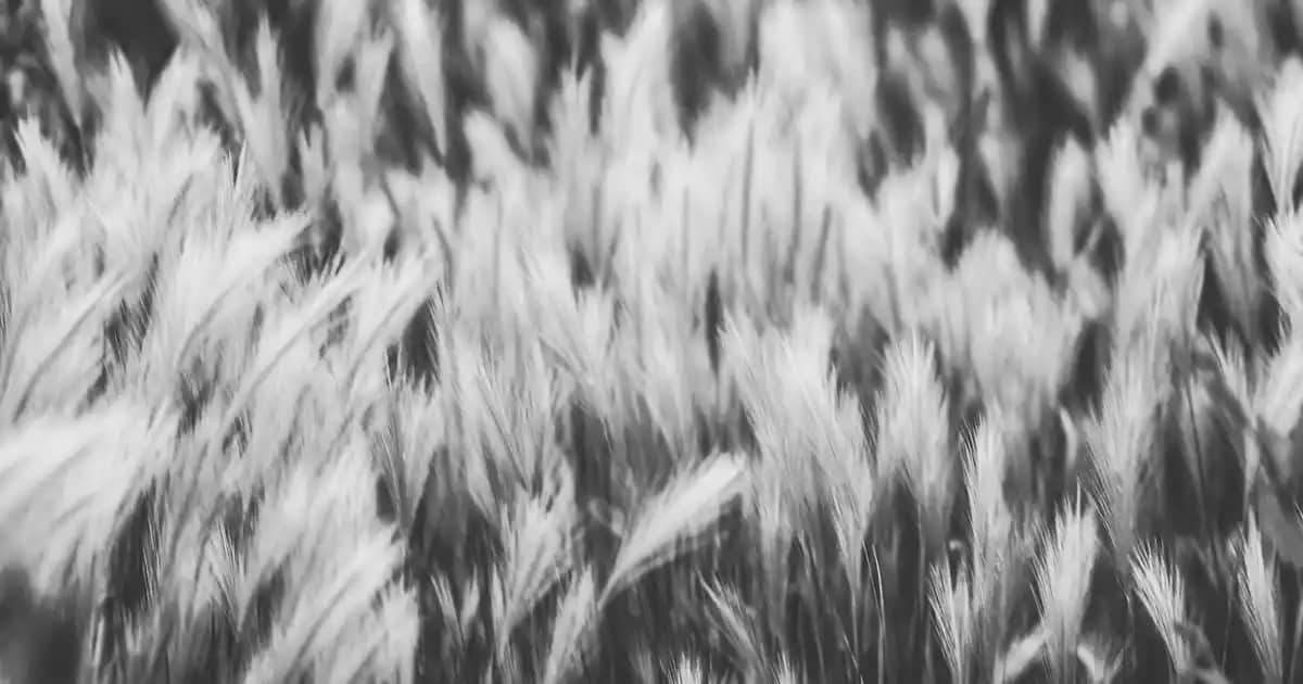 Takma Tırnak Modelleri ve Trendleri: Estetik ve Pratiklik Sunan Seçenekler