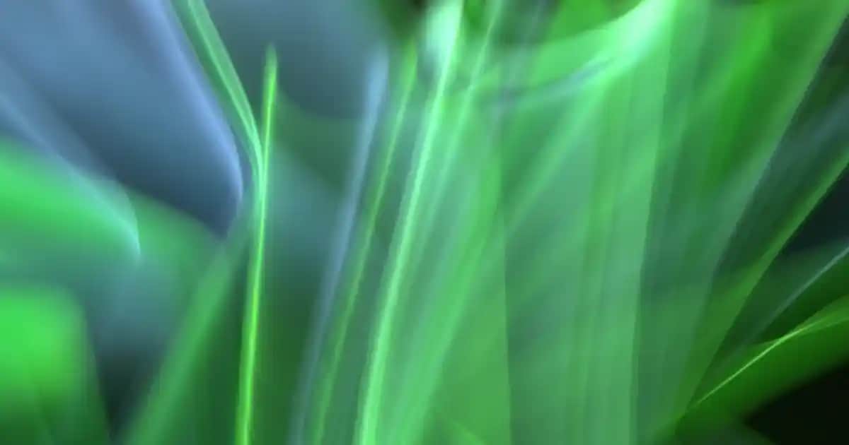 Transparan Maskara Nedir ve Doğal Güzelliği Vurgulayan Çok Yönlü Kullanım İpuçları