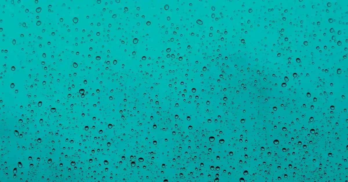 Wag Maşa Modelleri ve Kullanım İpuçları: Doğal Dalgalar ve Şık Bukleler Yaratın