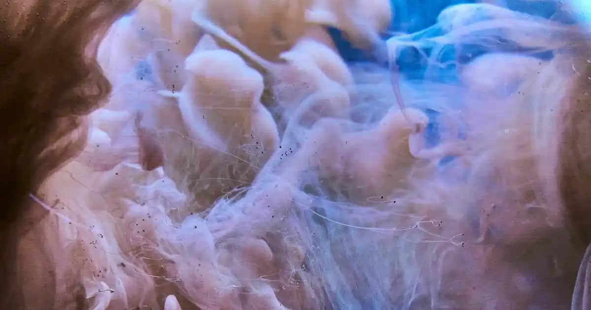 5.68 Saç Boyası: Derin Kahverengi ve Kızıl Tonların Modern Kullanımı ve Bakım İpuçları