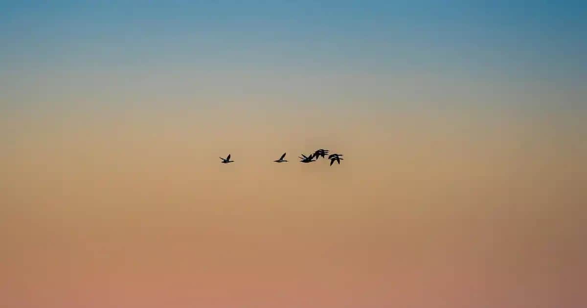 6 Yaşındaki Çocuklarda Sivilcenin Nedenleri ve Uygun Bakım Yöntemleri