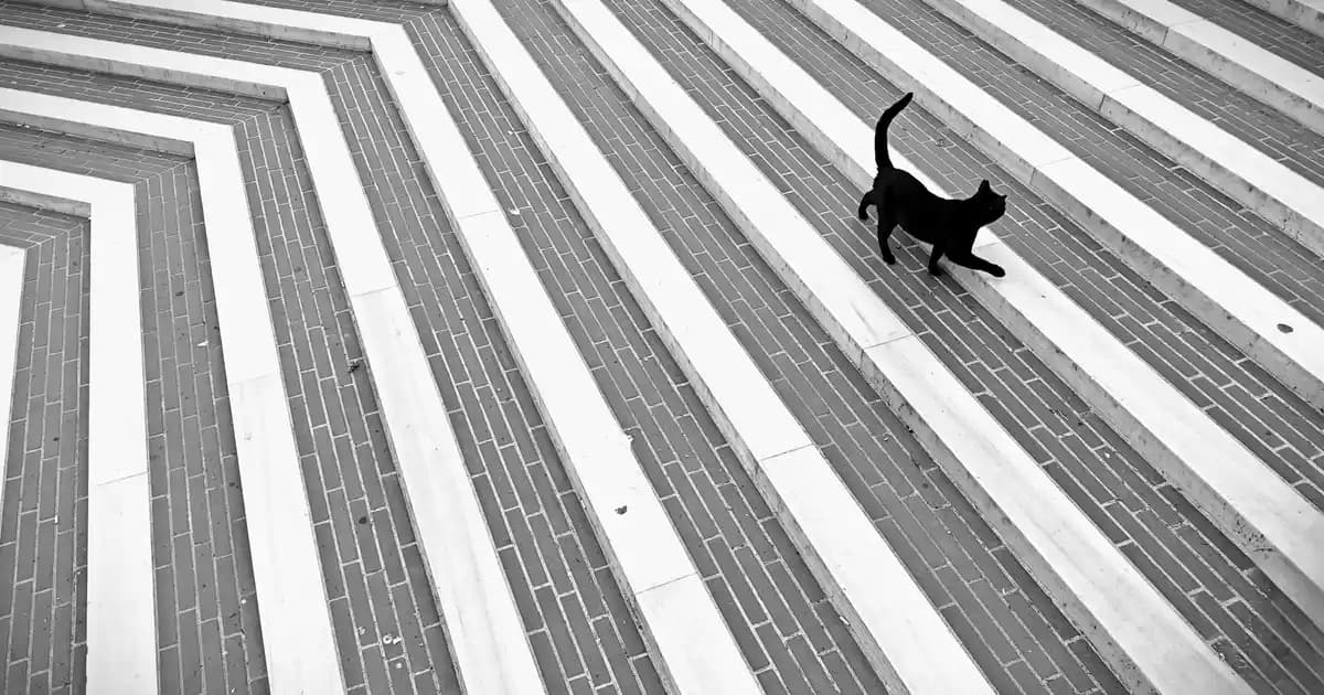 Açık Karamel Saç Rengi: Doğallık ve Şıklığın Modern Buluşması