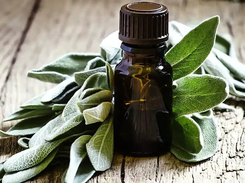 Adaçayı Yağı ve Saça Faydaları: Doğal Bir Güzellik Kaynağı