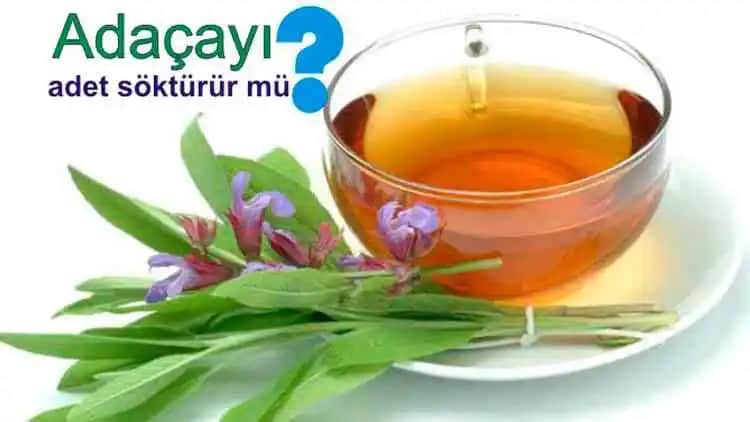 Adaçayının Regl Ağrısına Etkisi ve Kozmetik Sektöründeki Kullanım Alanları