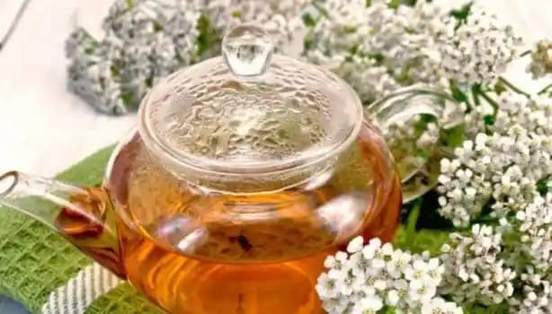 Adet Döngüsünün Kozmetik ve Cilt Bakımı Üzerindeki Etkileri ve Doğru Bakım Yöntemleri