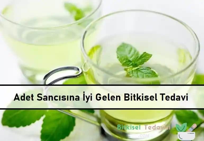 Adet Sancısına Karşı Doğal Bitkisel Çözümler ve Faydalı Tavsiyeler