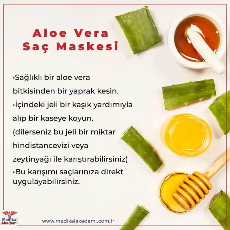 Aloe Vera ve Zeytinyağıyla Saç Maskesi: Doğal ve Etkili Saç Bakım Yöntemleri