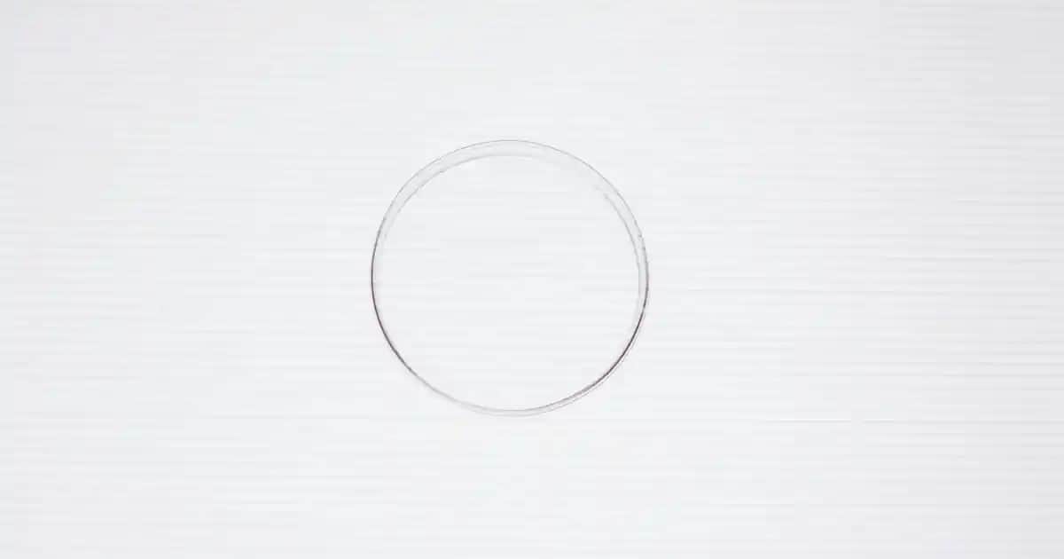 Aloe Vera Yüz Maskesi: Doğal Güzellik ve Cilt Sağlığı İçin Etkili Çözüm