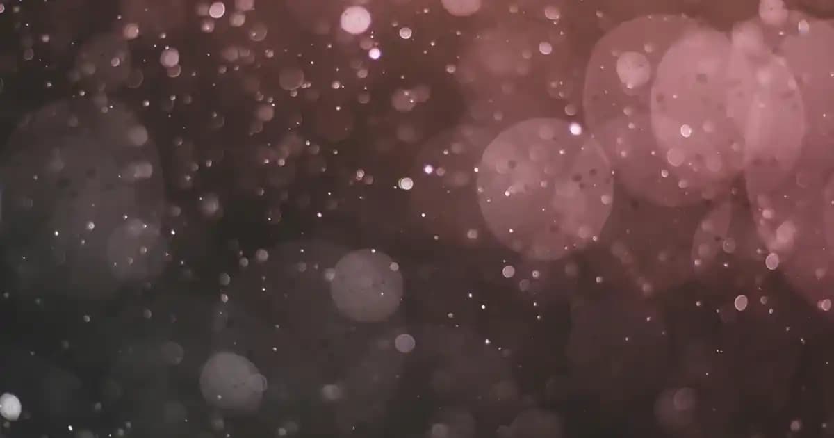 At Kestanesi Farmasi Ürünleri ve Doğal Güzellik ile Sağlık Fırsatları