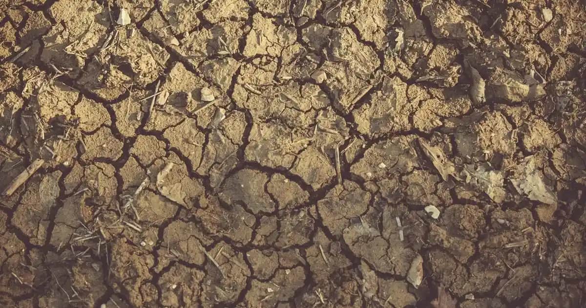 Atomy Güneş Kremi: Yüksek Koruma Seviyesi ve Doğal İçeriklerle Güvenli Güneş Koruması