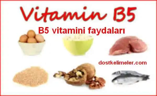 B5 Vitamini ve Cilt Sağlığı: Nemlendirme, Elastikiyet ve Akne ile Mücadelede Etkili Kullanım Rehberi
