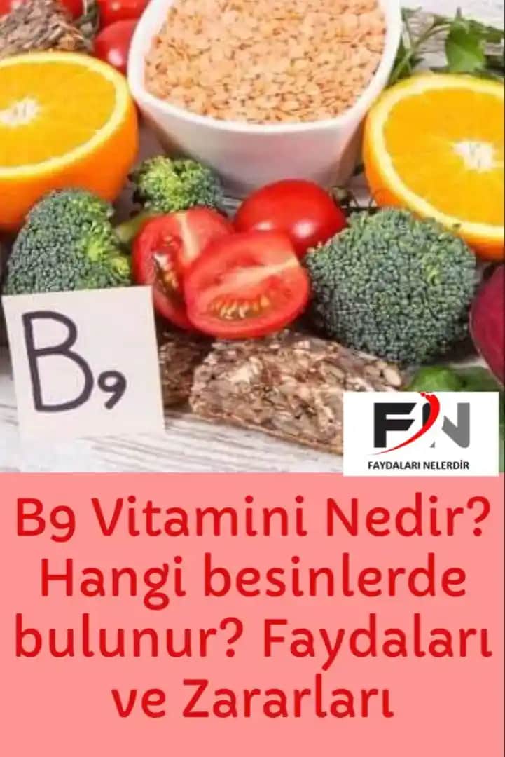 B9 Vitamini ve Saç Sağlığı: Saçlarınızın Güçlenmesi İçin Temel Bilgiler ve Doğal Kaynaklar