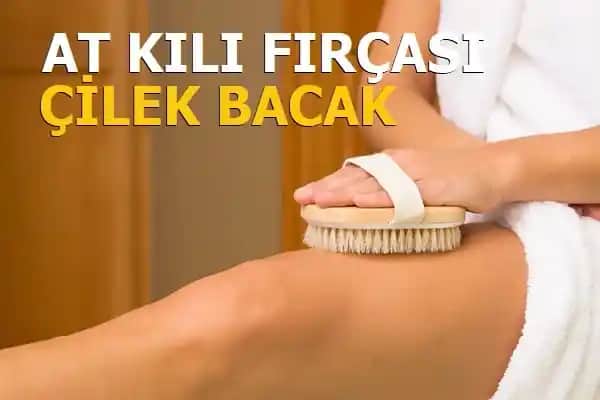 Bacakta Çilek Görünümünü Giderme Yöntemleri ve Sağlıklı Yaşam Tavsiyeleri