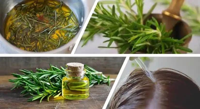 Biberiye ve Karanfil Kürünün Kozmetik Faydaları ve Doğal Cilt ile Saç Bakımındaki Rolü