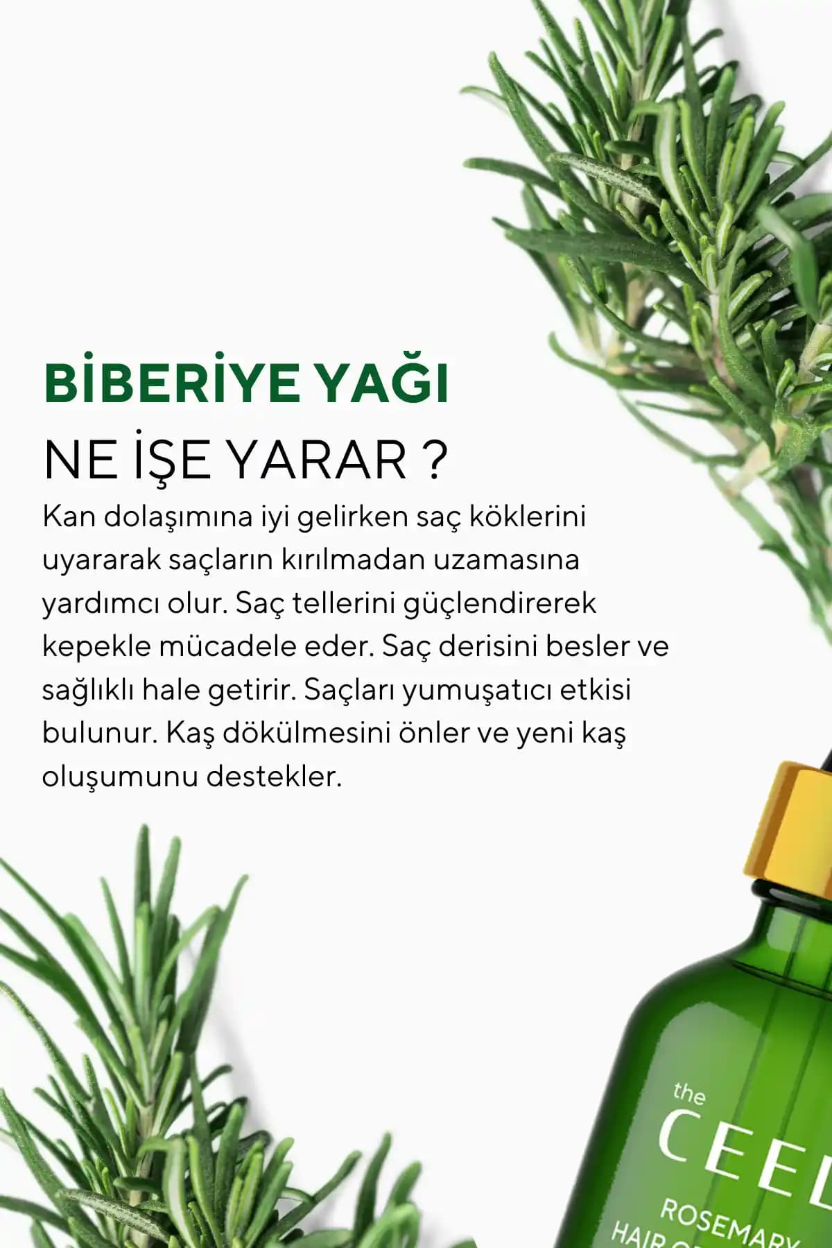 Biberiye Yağı ile Saç Sağlığını Desteklemenin Yolları ve Faydaları