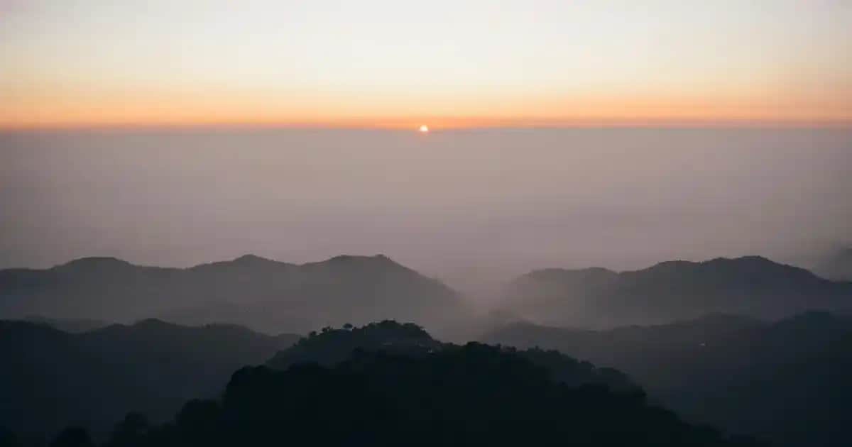 Bıyık Alma Yöntemleri ve Kozmetik Perspektiften Değerlendirme