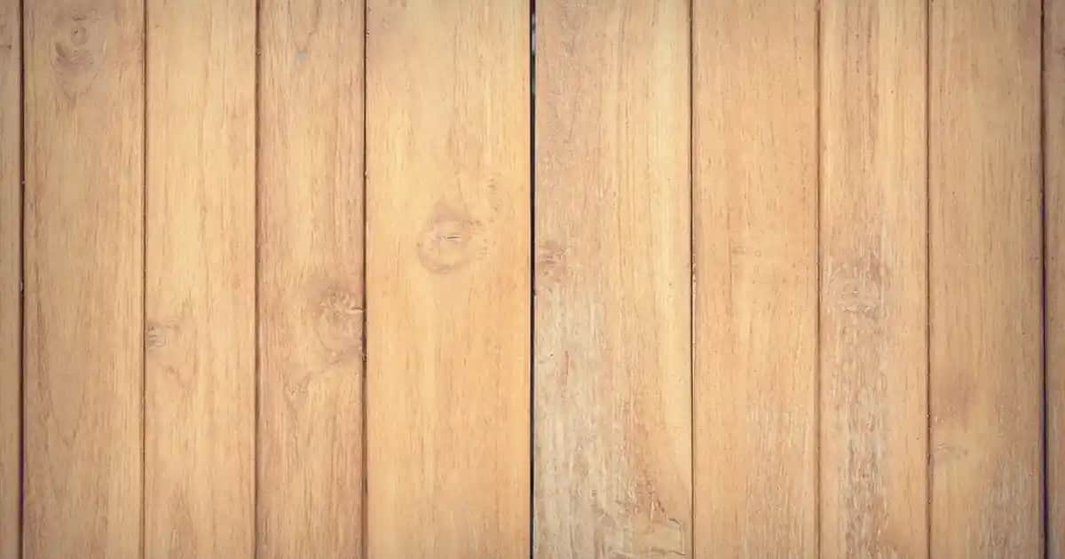 Bugday Ten Renginin Kozmetik Seçenekleri ve Makyaj İpuçları 2023