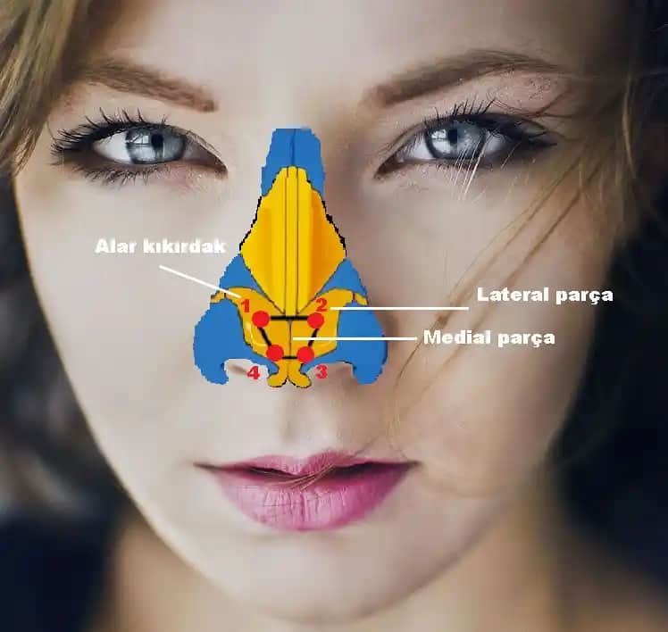 Burun Üstü Pütürleri: Nedenleri, Giderilme Yöntemleri ve Korunma İpuçları