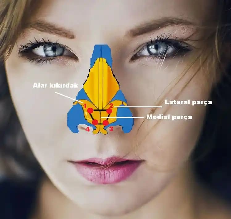 Burun Üstü Pütürleri: Nedenleri, Giderilme Yöntemleri ve Korunma İpuçları