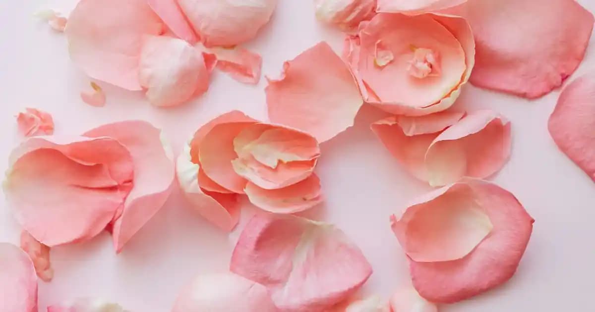 Büyük Boy Pedler: Konfor ve Güvenlik İçin Doğru Seçenekler