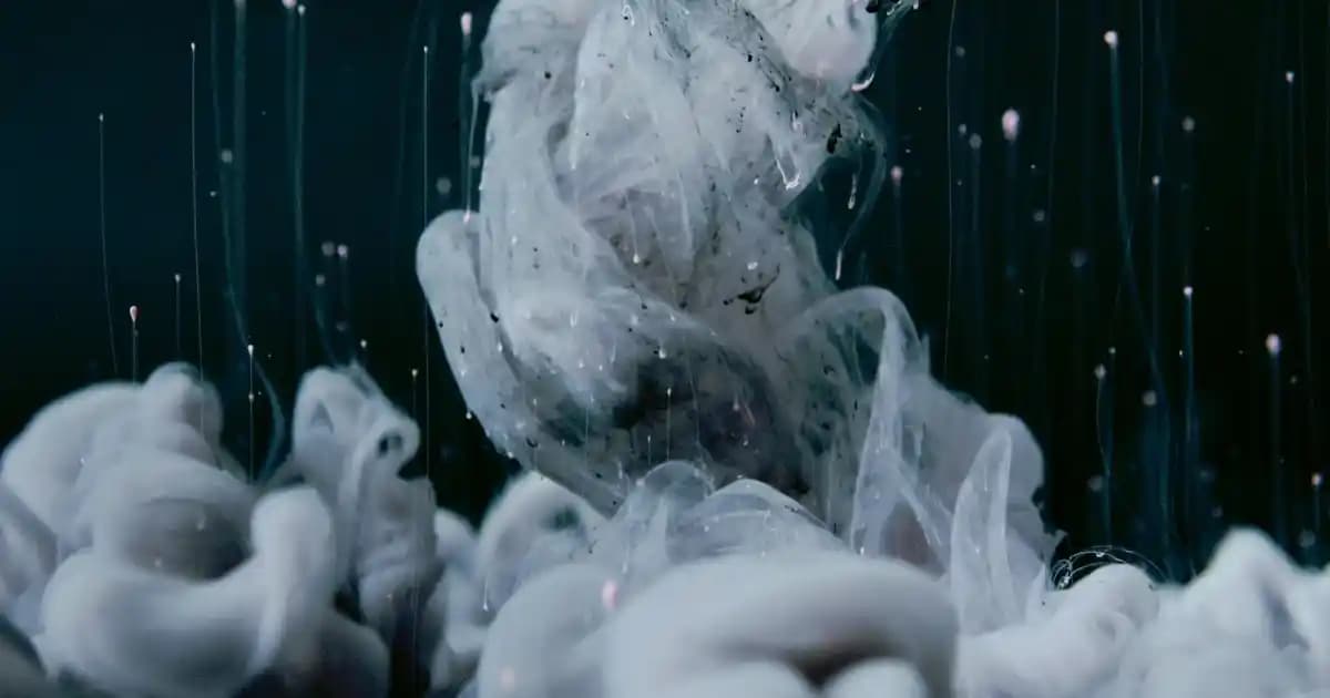 Calvin Klein Man Erkek Parfümü: Modern ve Kalıcı Bir Koku Seçeneği