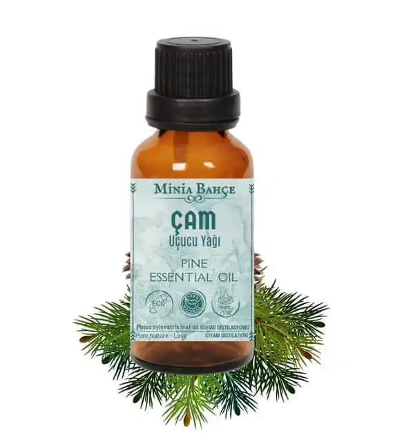 Çam Ağacı Yağı: Doğal Güzellik ve Bakımda Kullanım Fırsatları ve Faydaları