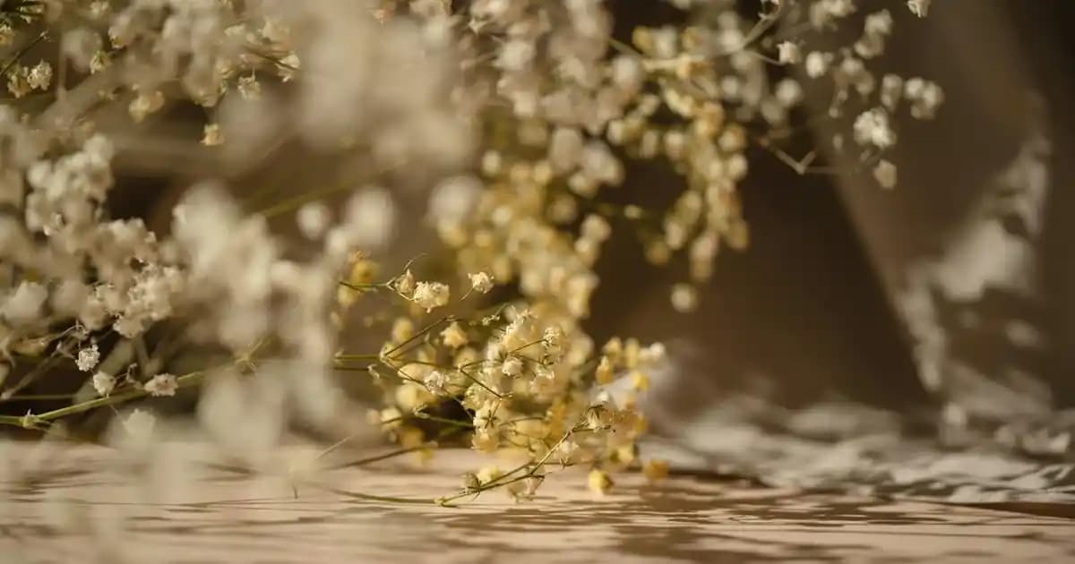 Cildi Beyazlatan Maskeler: Doğal Yollarla Güzelliğinizi Destekleyin ve Parlak Cilde Ulaşın