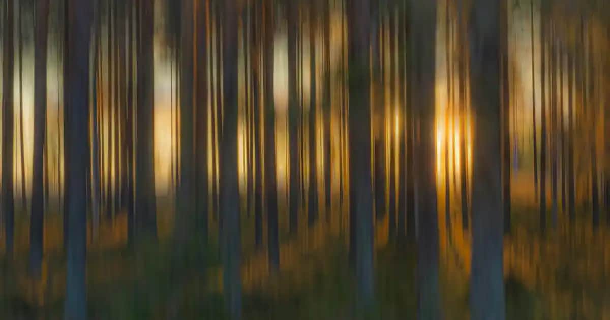 Cilt Bakımında Saç Bandı Kullanımının Önemi ve Doğru Seçim Yöntemleri