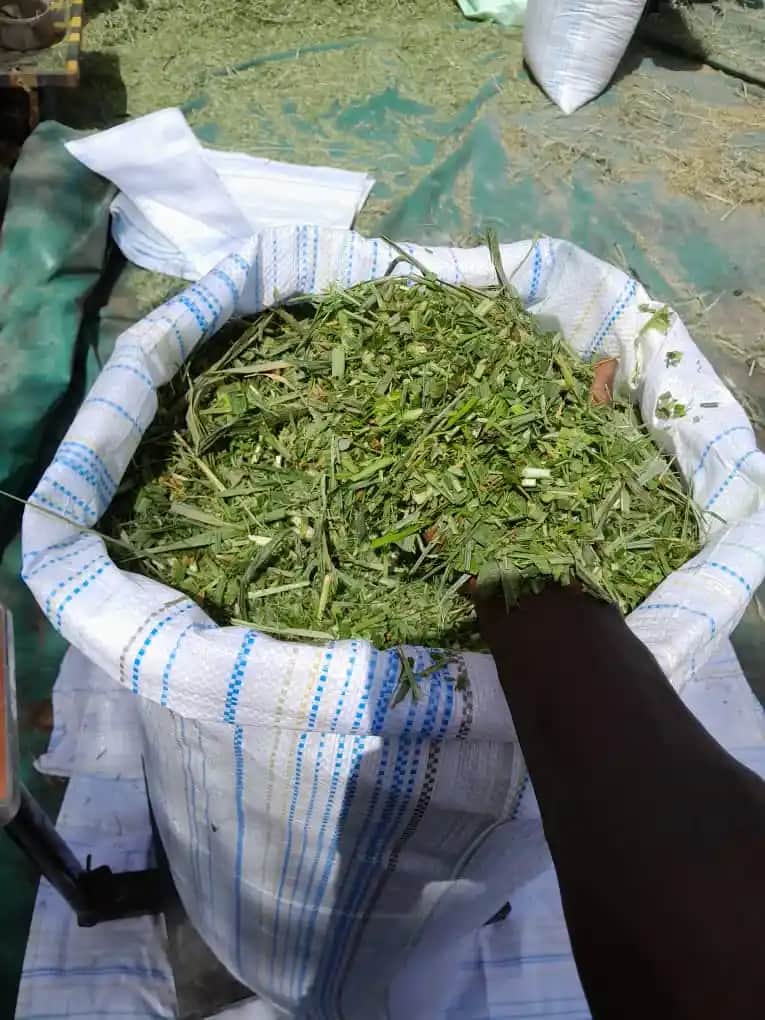 Cilt Dışındaki Ağrıların Nedenleri ve Tedavi Yöntemleri Hakkında Bilgi