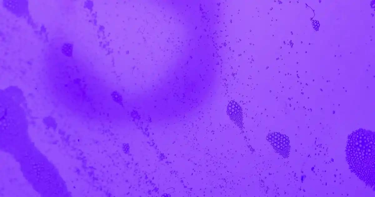 Çocuk Boyaları Güvenli ve Doğal İçeriklerle Çocukların Yaratıcılığını Destekler